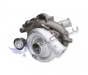 Turbocharger 10009880128