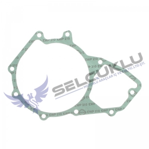 GASKET WATER PUMP 756882